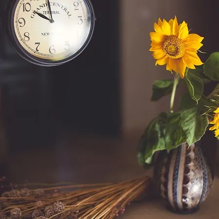 Farma Gosciniec Pod Grusza *