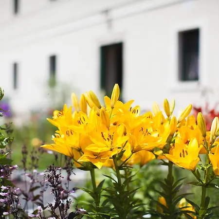 Farma Gosciniec Pod Grusza *