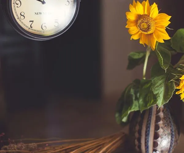 Gospodarstwo agroturystyczne Pod Gruszą *