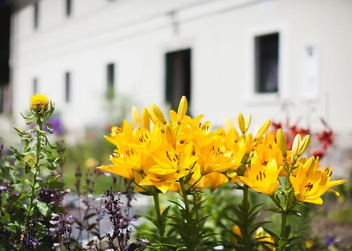 مزرعة للإقامة Gosciniec Pod Grusza *