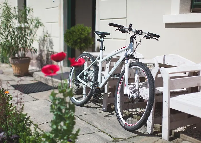 Pod Gruszą Gospodarstwo agroturystyczne Świerzawa